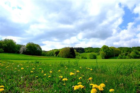 Landscape, grass, field, meadow, nature - free image from needpix.com