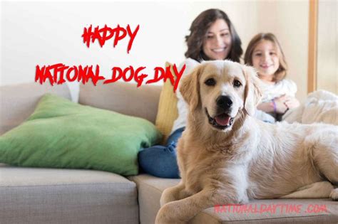 National Dog Day Quotes, Wishes, Images, Memes, Status, Captions 2023 - Nationaldaytime.com