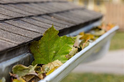 Tips for Gutter Cleaning - Gutter Sense