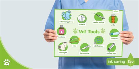 FREE! - Vet Science Equipment and Materials Word Mat | Twinkl