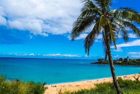 Our Favorite Oahu North Shore Beaches - BLN