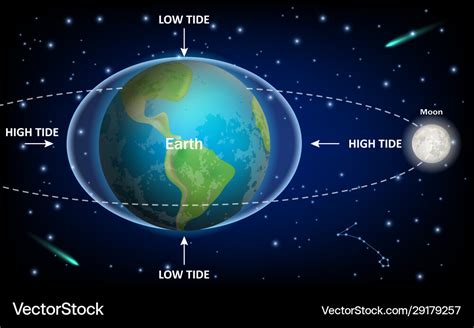 Low and high moon tides education diagram Vector Image