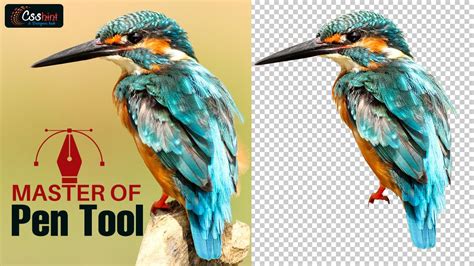 Master the Pen Tool in photoshop | How to use pen tool in Photoshop tutorial #csshint #photoshop ...