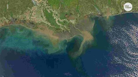 Gulf of Mexico 'dead zone' predicted near-record size