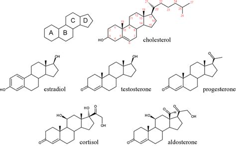 The Hidden Mystery Behind steroide musculation prix - Inforges