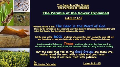 Gospel of Luke Chapter:8:1-56. The Parable of the Sower, Wind and Wave Obey Jesus, - YouTube