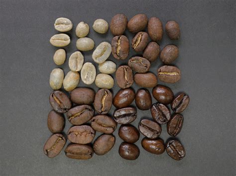 Coffee Bean Types and Their Characteristics