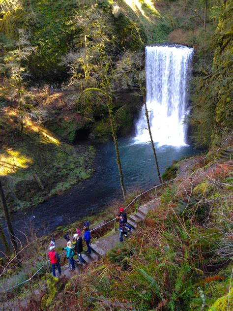 Oregon's Best-Kept Secret: Silver Falls State Park - Intentional Travelers