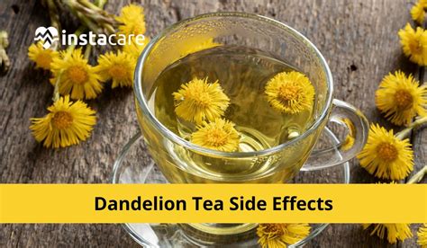 5 Dandelion Tea Side Effects