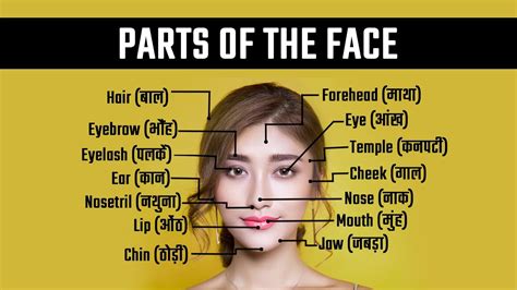 Parts of the Face in Hindi and English || Human Body Parts || Face ...