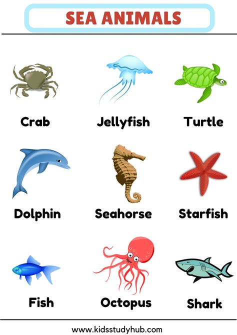 Sea Animals Chart And Worksheets