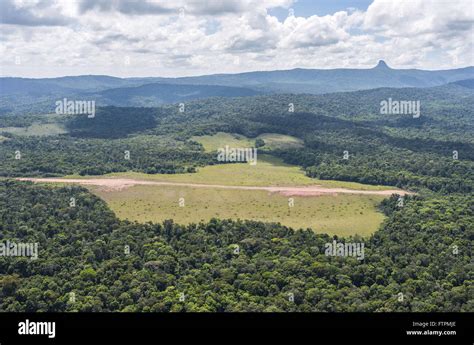 Aerial view of Mount Roraima National Park highlighting the area of the Longhouse Mapae Stock ...