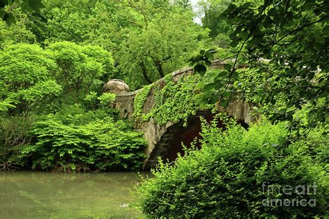 Overgrown And Beautiful Gapstow Bridge Photograph by Christiane Schulze Art And Photography ...