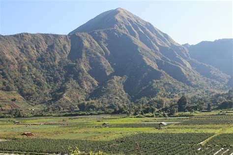 Premium Photo | View of the sembalun village of lombok mount rinjani ...