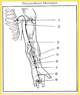 Australian School of Meditation and Yoga Diary: The Pericardium ...