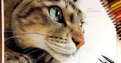 23 Hyper-Realistic Artworks Of Cats That Are Hard To Believe Aren’t ...