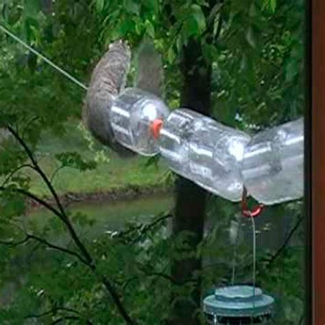 10 Favorite Attempts at Preventing Squirrels from Reaching Bird Feeders ...