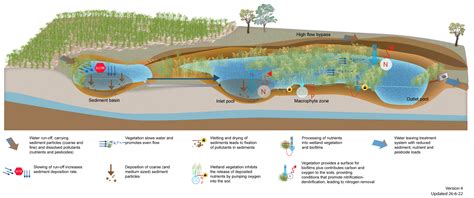 Treatment wetlands (Department of Environment, Science and Innovation)