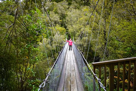 3 Weeks In NZ — The swing bridge at Hokitika Gorge.