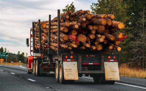 axed wood, chopped wood, firewood, hardwood, log driving, logging ...