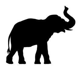 Asian Elephant Silhouette at GetDrawings | Free download