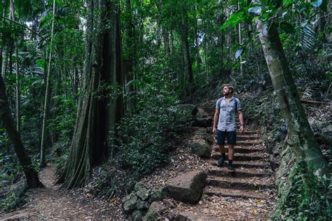 CURTIS FALLS (Mt Tamborine) • Visitor's Guide | Jonny Melon