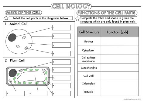 Worksheet On Cell Theory