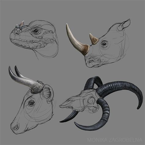 Horns Study – Monika Zagrobelna