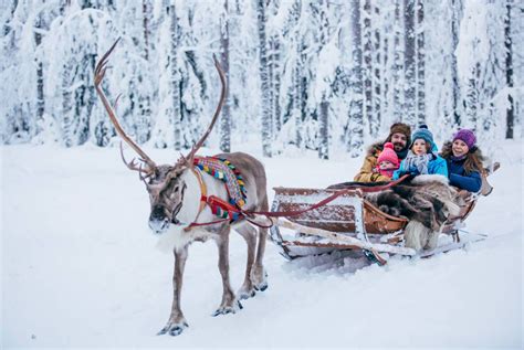 Christmas in Rovaniemi | Holidays 2021/2022 | Rovaniemi, Reindeer and sleigh, Santa claus village