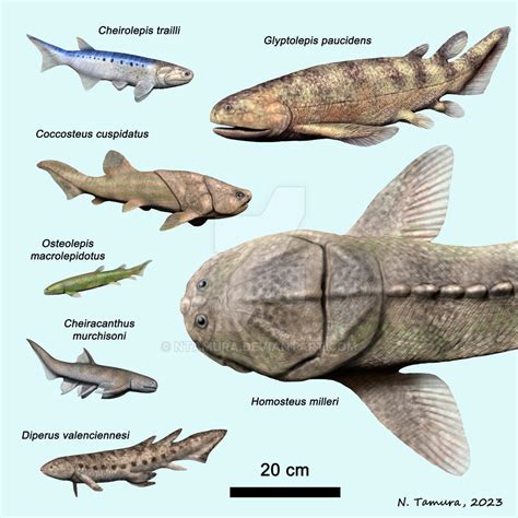 Devonian Fish Series #15 by NTamura on DeviantArt