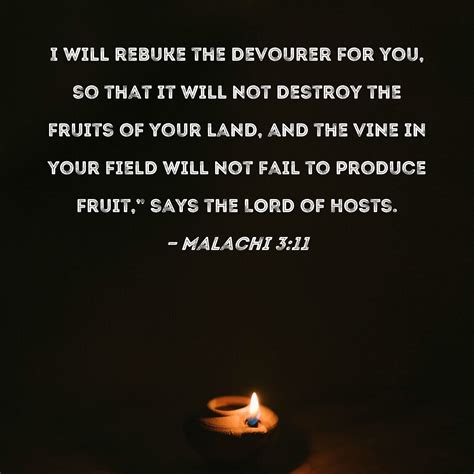 Malachi 3:11 I will rebuke the devourer for you, so that it will not destroy the fruits of your ...