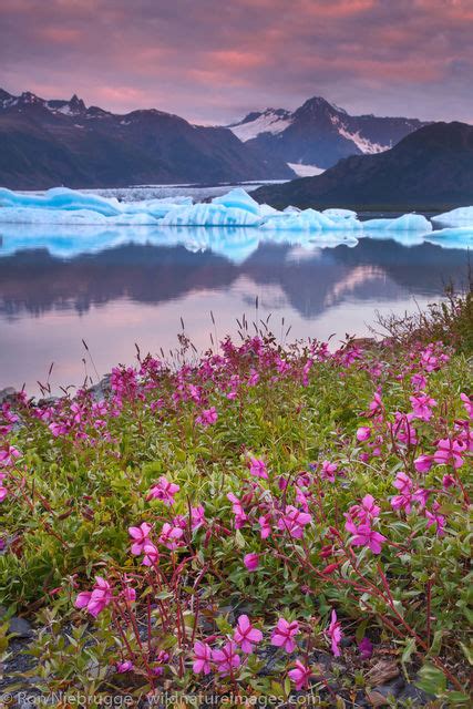 Kenai Fjords Photos - Pictures and Photos of Kenai Fjords | Photos by ...