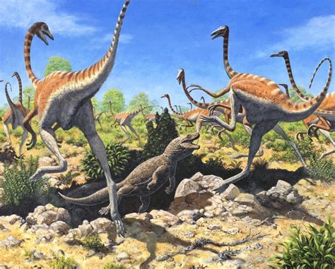 Ornithomimus Pictures & Facts - The Dinosaur Database