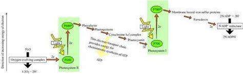 Red light goes green: Metal-free organic sensitizers portend ...