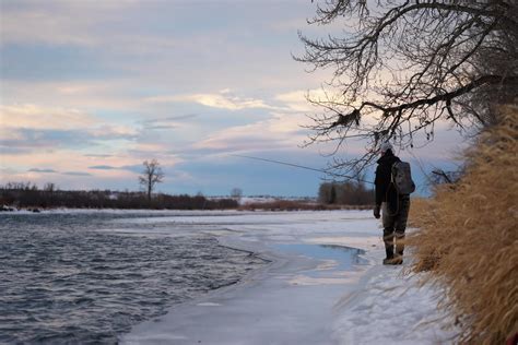 Winter Fly Fishing For Trout