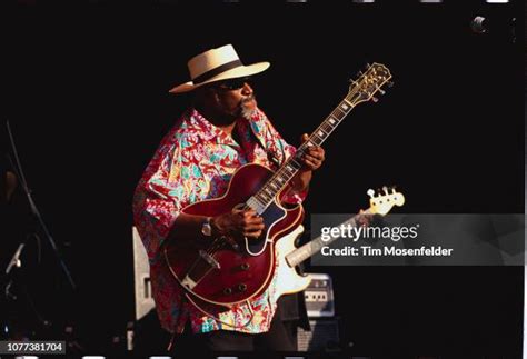 Taj Mahal Musician Photos and Premium High Res Pictures - Getty Images