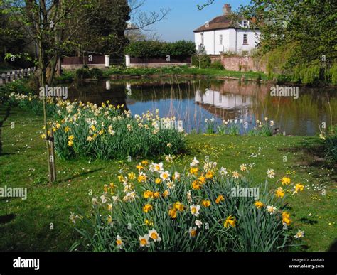 Typical English country village spring scene, Somerleyton Village Pond, Somerleyton, Suffolk ...