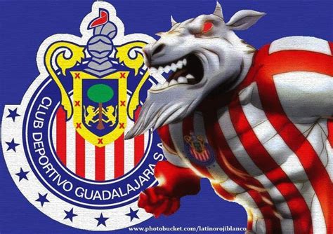 Chivas Rayadas de Guadalajara | Chivas soccer, Soccer art, Soccer logo