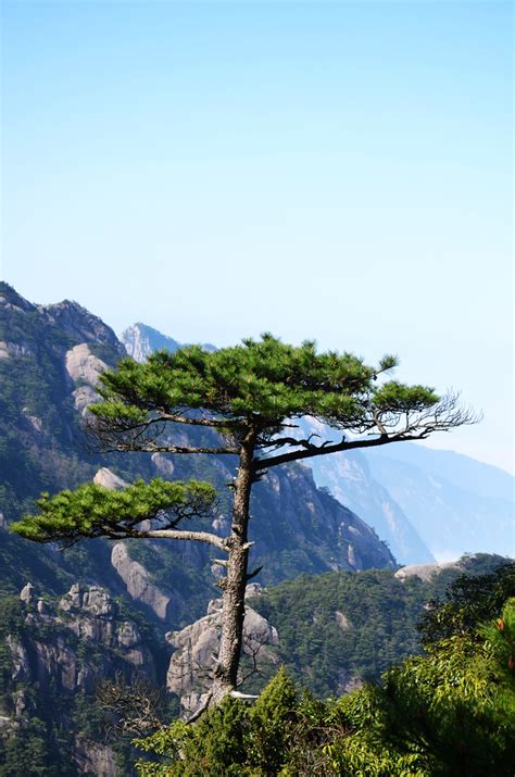 Huangshan | Huangshan | Patrick Li | Flickr