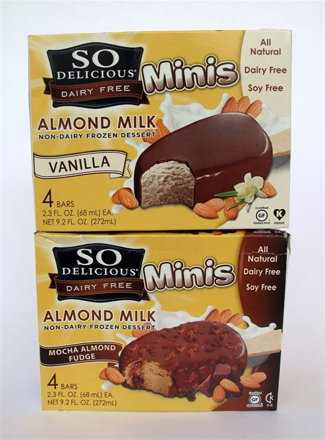 The Laziest Vegans in the World: So Delicious Almond Milk Ice Cream Minis