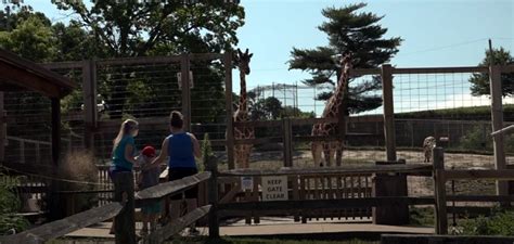 Elmwood Park Zoo Welcomes Back Visitors