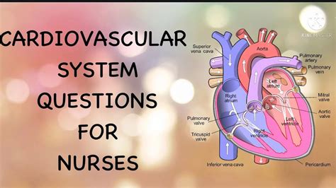 Cardiovascular related Questions (Gangalal Hospital) - YouTube