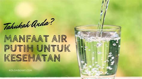 Manfaat Air Putih untuk Kesehatan - Kolom Sehat