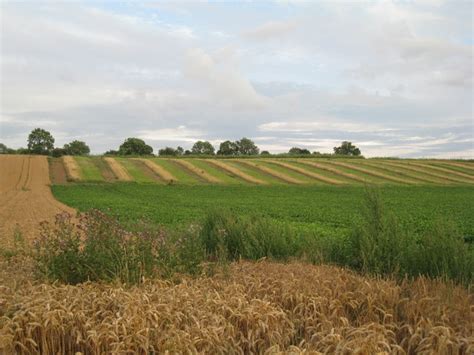 Strip farming near Haxey © Jonathan Thacker :: Geograph Britain and Ireland