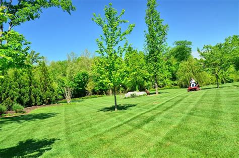 Tips for Better Residential Landscape Maintenance - Greenskeeper