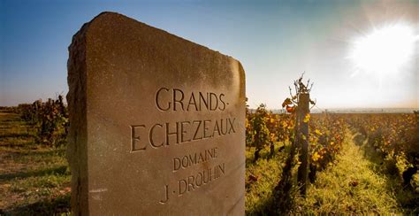 Guided tour of Côte de Nuits vineyards