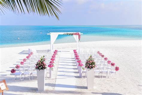 Free stock photo of beach, beach wedding, chairs