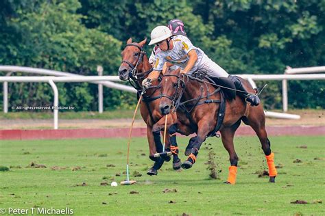 Pololine | East Coast Gold Cup: Semifinals set