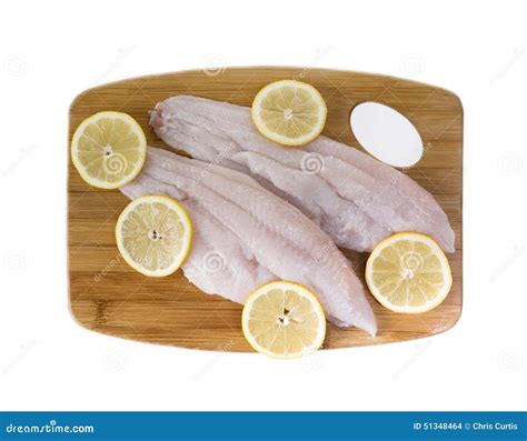 Fresh Catfish Fillets stock photo. Image of healthy, closeup - 51348464