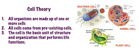 نظرية الخلية Cell Theory